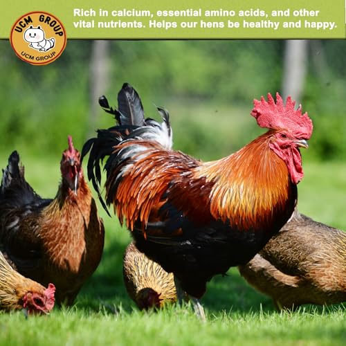 20LB Dried Black Soldier Fly Larvae for Chicken, Poultry, Wild Birds,100% Natural Non-GMO, No Additives, Treat, More Calcium Chicken Treats Than Mealworms,4 Packs - size: 5 Pound (Pack of 4)