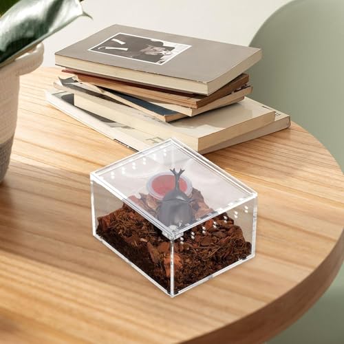 Reptile Terrarium Breeding Box Ventilated Container Enclosure for Lizards Terrapin Crayfish Snake- 10.5cmx8.5cmx6cm