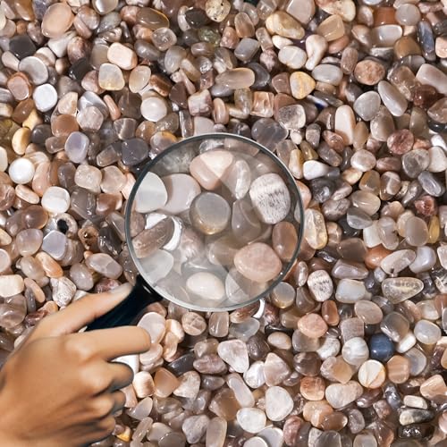 Black Moonstone Chips Bulk 1lb, 850+ Pieces, 5-8mm Natural Gemstones - color: Black Moonstone, size: 1LB