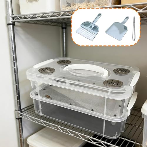 Mealworm Container - Ventilated Lid Transparent Fine Mesh | Mealworm Keeper Box Habitat - for Reptiles, Birds, Chickens, Lizards, Bearded Dragon, Frogs, Tortoises