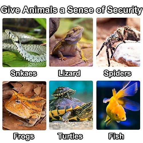 Hermit Crab Climbing Steps and Hideout Resin Simulation Rock Reptile Hides and Caves Turtle Basking Platform Aquarium Habitat Decor Accessories for Bearded Dragon Lizard Snake Tortoise Frog Gecko - style: Shale Scape Stone