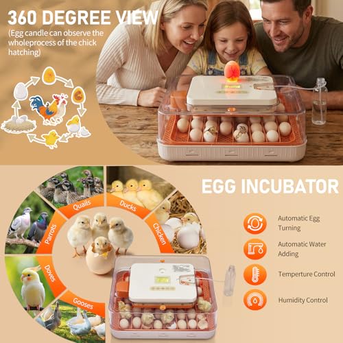 56 Egg Incubator with Temperature & Humidity Control | Automatic Egg Turning, Egg Candler, Automatic Water Filling, Day Counter