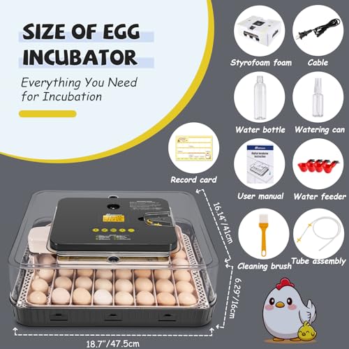 Sailnovo 56 Egg Incubator for Hatching Eggs with Automatic Egg Turning Gray | Auto Humidification, Stable Temperature Control, Built-in Candler, View Window, Alert System for Lab School Farm - color: Gray