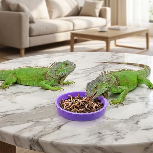 6 Pcs Gecko Food Cups, Crested Gecko Food and Water Bowl Reusable Silicone Crested Dish Feeding Cups for Lizard Anoles Bearded Dragons Tank Terrarium Accessories Supplies for Tortoise