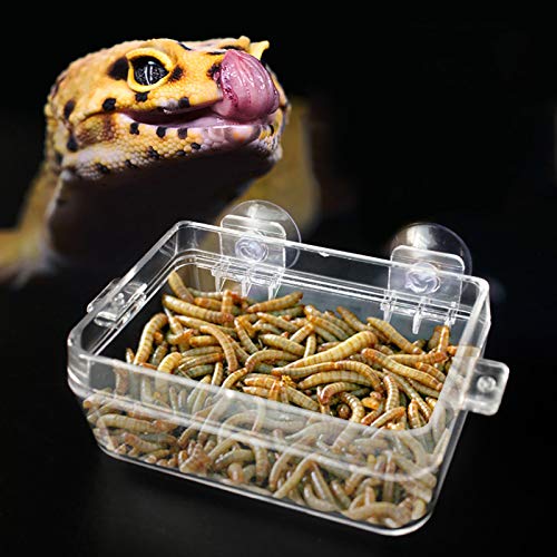Reptile Food Feeder, Anti Escape Design, Multi Functional Hydration and Feeding Dish, Non ABS, for Reptiles and Amphibians