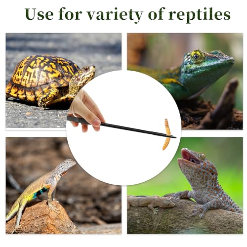 Reptile Feeding Tongs, Stainless Steel Lizard Feeding Tongs, Aquarium Straight Feeding Tweezers for Reptiles with Rubber Tip, Terrarium Feeding Tong for Gecko, 10.63" Length, Black - size: 10.63"