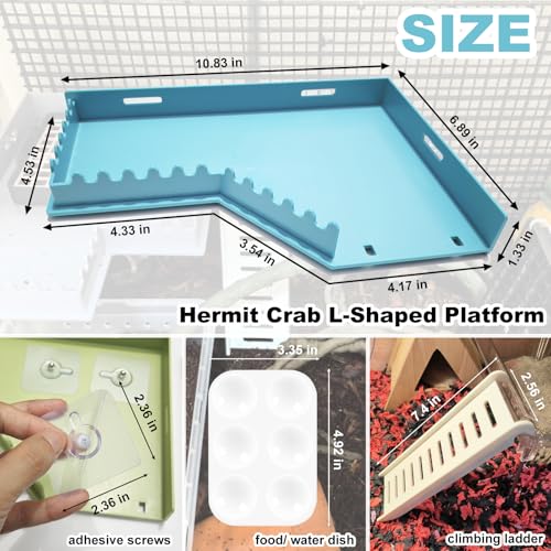 Hermit Crab Accessories - Platform with Ladder and Food Dish, Hermit Crab Climbing Toys, Habitat Supplies and Tank Accessories for Reptiles, Hamsters, Geckos, Small Lizards - color: Blue
