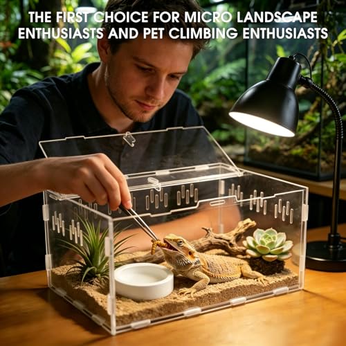 Jumping Spider Enclosure, Insect Terrarium, Bug Cage, Acrylic Terrarium for Tarantula, Snail, Praying Mantis, Frog, and Small Reptiles, Includes Tweezer and Bowl, (11.8" x 7.8" x 5.9") - size: 11.8" x 7.8" x 5.9"