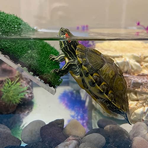 XMHF Turtle Basking Platform, Tortoise Ramp Reptile Ladder Resting Terrace Fish Tank Aquarium Turtle Dock Floating Decor for Reptile Frog Terrapin Large - size: Large