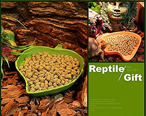 2 Pack Leaf Reptile Food and Water Bowl for Pet Aquarium Ornament Terrarium Dish Plate Lizards Tortoises or Small Reptiles