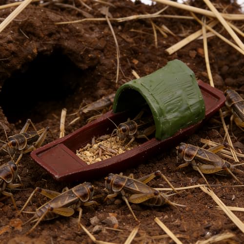 4 Pcs Cricket Feeder Hermit Crab Hideout Climbing Toy Terrarium Decoration for Hermit Crab Snail Cricket Insects