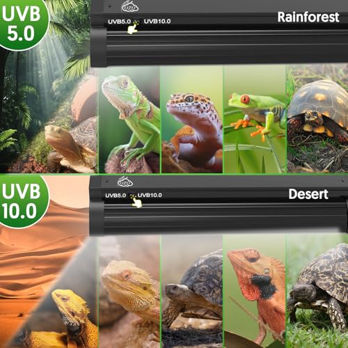 QZQ T5 UVB Reptile Light Fixture Combo Kit 8W, UVB Light for Reptiles with Switchable 5.0 & 10.0 UVB Output, Terrarium Hood Lamp for Bearded Dragon, Snake, Gecko, Tortoise, Lizard - size: 8W-5.0&10.0-12.4IN