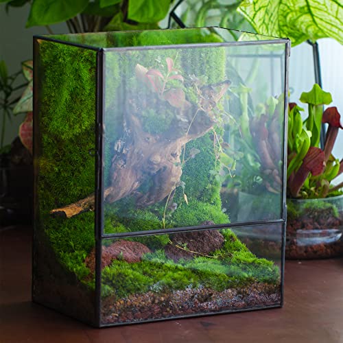 NCYP Close Glass Terrarium with Door - 7.8 x 5.1 x 9.8 Inches Landscape Clear Glass Planter for Small Tropical Plants, Moss Wall - Indoor Tabletop Centerpiece, Garden Decor (Terrarium Only) - size: 7.8x5.1x9.8 inches