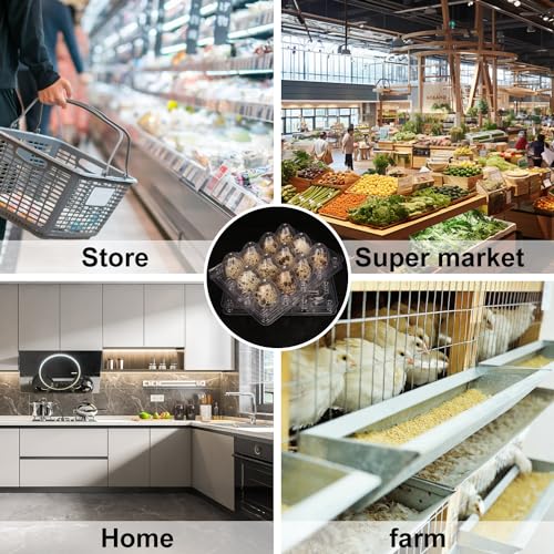 200 Pack Quail Egg Cartons, Clear Plastic Quail Egg Trays, Holds up to 12 Quail Eggs Securely - Your Ultimate Small Eggs Carton Holders for Bulk Storage and Display - size: 12 Grids