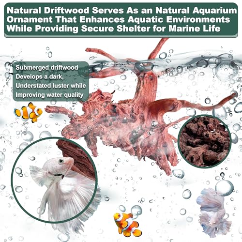 Natural Wood Driftwood for Aquarium Fish Tank Decor,Assorted Driftwood Trunk Branch for Reptile Tank Decor (LLM-Driftwood (10 to 12 Inch)-Pack of 2) - color: LLM-Driftwood (10 to 12 Inch)-Pack of 2