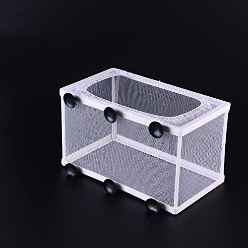 Large Breeder Net for Fish Tank Fish Hatchery Separation Net Mesh Fish Breeding Box with Suction Cup for Aquarium