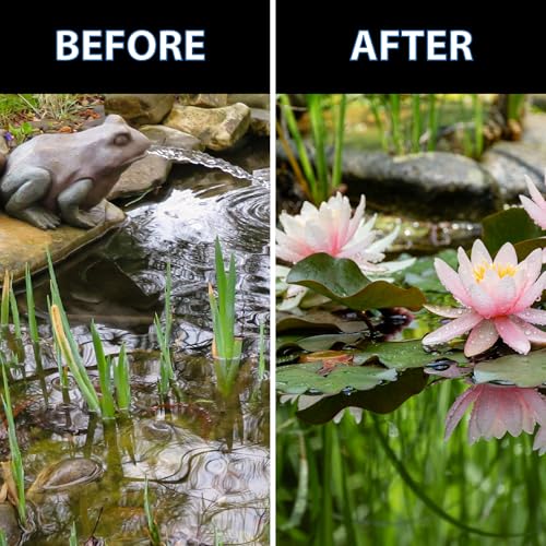 CrystalClear Thrive Pond Plant Food, Fish Safe Fertilizer, 30 Tablets | For aquatic water gardens, nutrients boost lily & lotus flower bloom and root growth - size: 30 Tablets