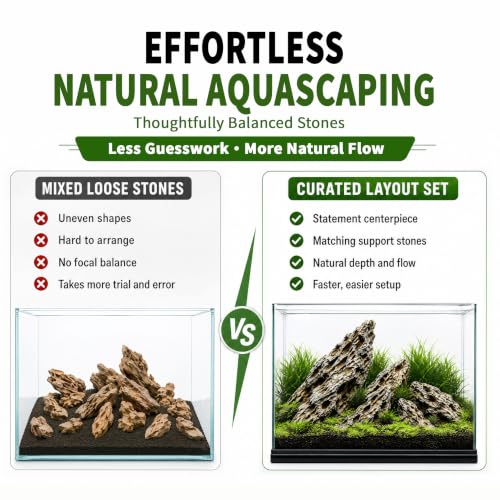 Dragon Stone Aquascaping Rocks, 1 lb (2-4"), Aquarium Stone Set | Beginner-friendly aquascaping • Easy layout building • Natural porous texture • Ideal for planted tanks - color: Dragon Stone, size: 1 lb (2–4")