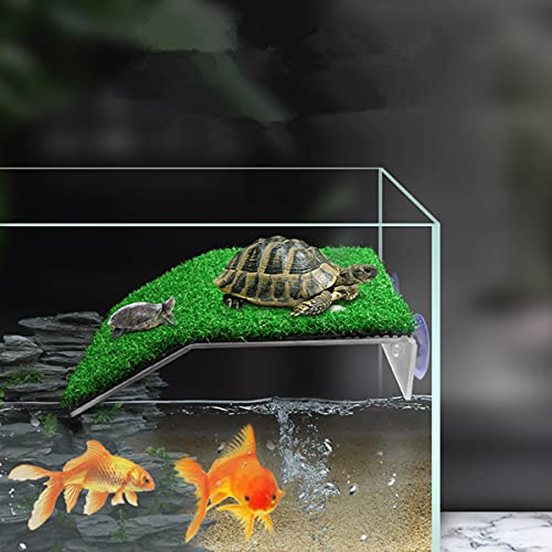 DoubleWood Lawn Turtle Basking Platform - Turtle Resting Platform with Simulation Grass, Ramp for Small Reptiles, Frogs, Terrapins (Medium) - size: Medium