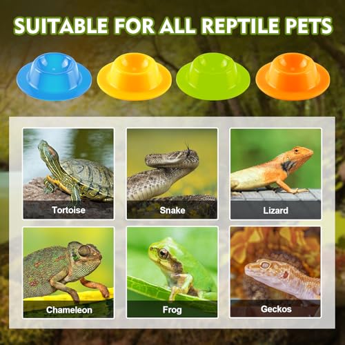4PCS Gecko Lizard Food Bowls, Small Reptile Food Water Dish Bowl, Silicone Feeding Dish Habitat Accessories for Hermit Crab Bearded Dragon Snake Frog - color: 4PCS Colorful
