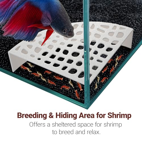 2-Pack Aquarium Shrimp Shelter Hide, 5.5x4x1.3 inches, Multi-Sized Holes for Cherry and Dwarf Shrimp - color: White