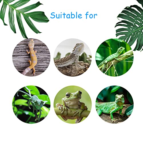 4 PCS Crested Gecko Coconut Hide Natural Lizard Coco Hut Reptile Hanging Nest Flexible Vine Habitat Decoration Bearded Dragon Terrarium Accessories for Tortoise Chameleon Snake Spider - style: 【Style B】