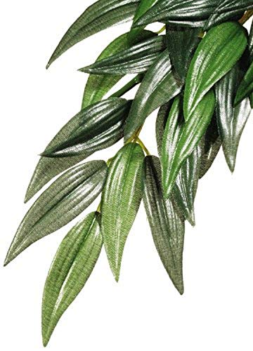 Exo Terra Silk Terrarium Plant, Large, Ruscus - color: Green, size: Large