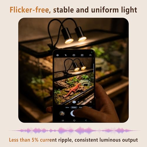 5.0 New Upgraded Reptile Heat Lamp& Hygrothermograph|Individual Control |135°Golden Wide-Angle|5000 Hours of Service Life|UVA UVB Light for Reptiles for Turtle Lizard and More 2 Bulbs 50W