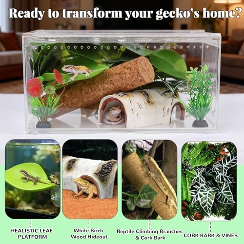 Crested Gecko Tank Accessories, Reptile Decor,Reptile Hanging Plants Vines with Coconut Shell Ladder Hideout Hermit Crab Decor for Lizard, Chameleon Cage, Snakes, Hermit Crab, Leopard Gecko (Decor-1)