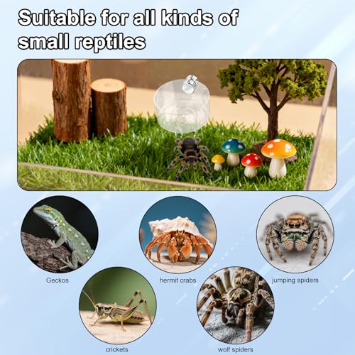 4pcs Jumping Spider Feeding Dish Set, Including Magnetic Water Bowl Dishes Dropper & Tweezer Small Pets Food Magnet Accessories for Tarantulas Reptiles Enclosure Supplies Dispenser Hide