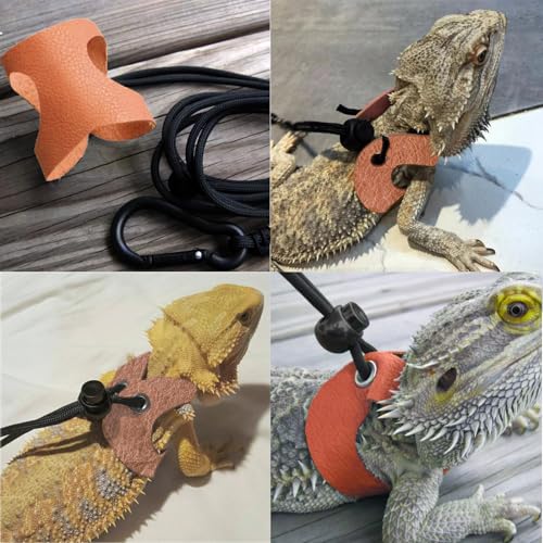 Guinea Pig Carrier,Guinea Pig Carrier for 2,Reptile Travel Carrier for Lizards Sugar Glider Hedgehog Rat Parrot Birds - color: Orange