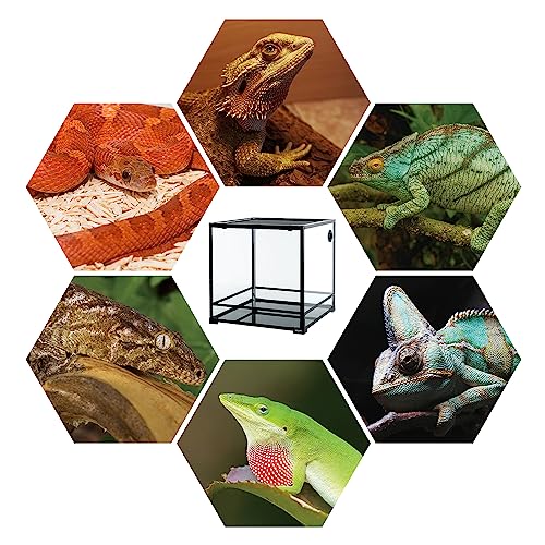 REPTIZOO 60 Gallon Glass Reptile Tank, 24" x 24" x 24" Large Reptile Terrarium Front Opening Terrarium with Double Hinge Door and Top Screen Ventilation, Easy Assembly Enclosure Tank - size: 24" x 24" x 24"