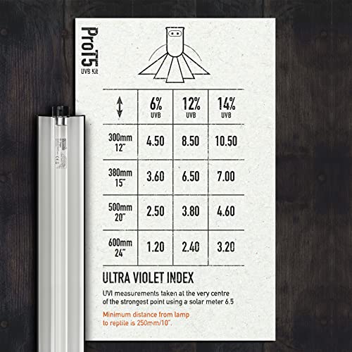 Arcadia T5 UVB Reptile Light Fixture Kit 36" Long 39 Watts 12% Desert – Complete UVB Light for Reptiles, Turtles, Snakes, Bearded Dragon Lamp Setup, Long Lasting Easy to Use Professional Lighting