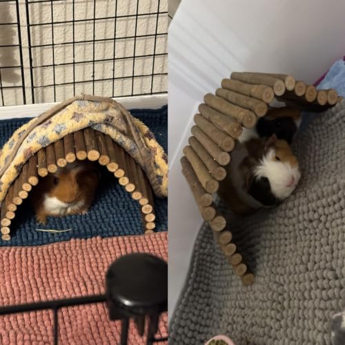 kathson Wooden Hamster Bridge,Guinea Pig Wood Ladder Bendable Tunnel Hideout Hut Small Animal Climbing Toys for Ferret Hedgehog Chinchilla Mice Rat Gerbil Baby Rabbit(19.6 x 6.0 in) - size: M (15.7 x 6.0 inches)