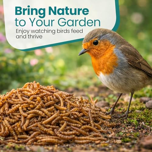 Dried Black Soldier Fly Larvae Chicken Feed 100% Natural Non-GMO, No Additives, Treat for Chickens, Reptiles and Birds, More Calcium than Mealworms for Wild Birds, Ducks, Laying Hens (2.5LBS)