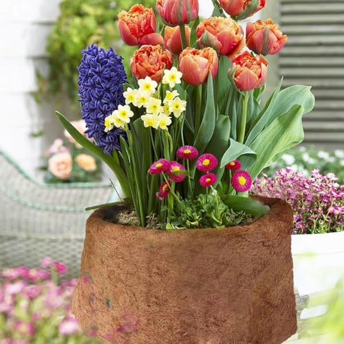 Natural Coco Coir Fiber Liner Roll, co-conut Fiber Pad Sheet, Hanging Basket Coco Liners, Coco Fiber Mat Reptile, Coco Fiber Replacement Liner for p-lanters Window Box Flower Basket Garden Decoration - size: 100x20 cm