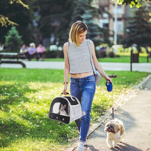 Bearded Dragon Travel Carreir Bag,Guinea Pig Carrier for 2,Reptile Travel Carrier for Lizards Sugar Glider Hedgehog Rat Parrot Birds - color: Black