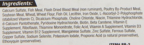Zoo Med Laboratories AZMBB2 Mini Banquet Block Feeders, 12 Count - size: 6 Count (Pack of 2)