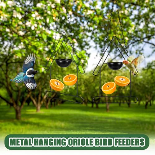 Hushee 2 Pcs Oriole Feeder for Outdoors Grape Jelly and Oranges Fruit Metal Bird Feeder Outdoor Garden Hanging Drinking Container Hummingbird Jelly for Outdoor Hanging Garden Patio(Birdhouse Shaped) - style: Birdhouse Shaped