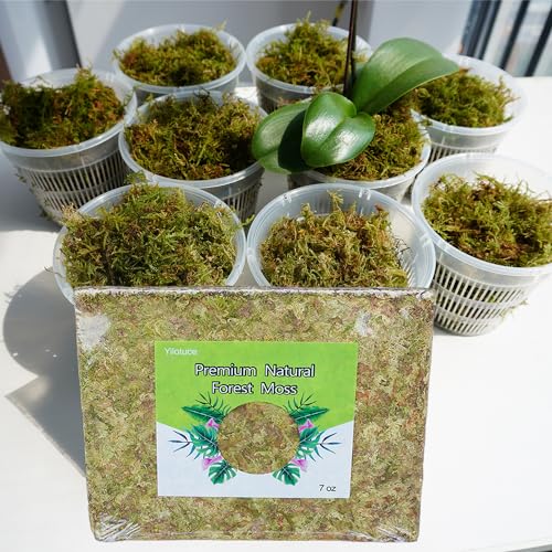 7 oz Natural Orchid Moss for Potted Plants, Nice Soilless Potting Soil for Seedling and Cutting, Good Idea for Reptile Terrarium, Crafts, Garden Decoration - size: 7oz