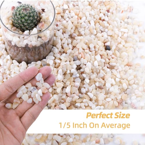 CJGQ 7lb Aquarium Gravel for Plants, 1/5Inch Outdoor Decorative River Rocks for Succulents and Cactus Landscaping, Garden Plant Rocks Natural Small Rocks Pea Gravel for Fish Tank Vases Terrarium - size: 7 LB