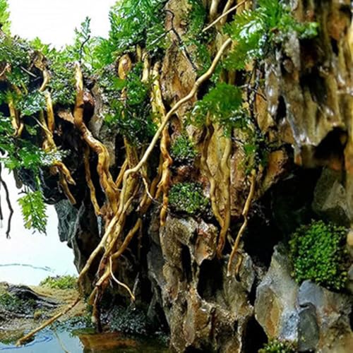AWXZOM Aquarium Driftwood Roots for aquascaping - 160g Mix Natural Wood Roots for Aquarium aquascaping, aquascaper Essentials Driftwood Roots
