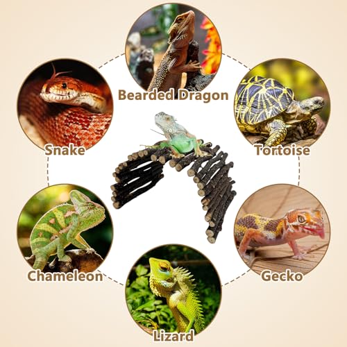 Hamiledyi 3pcs Large Reptile Hides Bearded Dragon Hide Bendable Climbing Bridge Wood Tunnel Tortoise Hut Lizard Hiding Cave for Snake Turtle Gecko Chameleon (15.8" x 7.9") - size: L-15.8 x 7.9-3 PACK