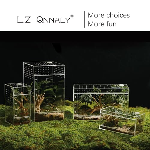 Acrylic Terrarium for Reptiles & Spiders – Small/Medium/Large Leak-Proof Enclosure (Horizontal/Vertical) | Ideal for Tarantulas, Jumping Spiders, Frogs & Geckos (Large, Horizontal) - size: Large