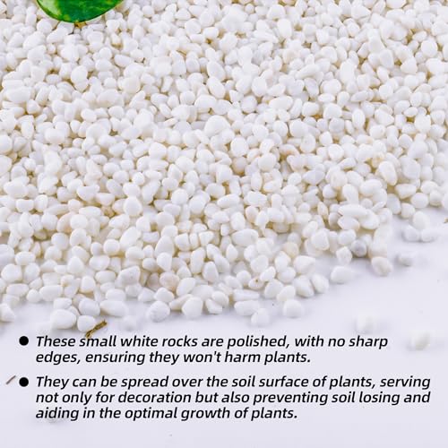 2.4lb 1/4" Small White Rocks for Plants,Potting,Succulents Aquarium Fish Tank Garden Vases Decorative Pebbles Gravel Rocks Stones - color: white, size: 2.4lb