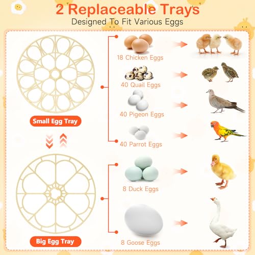 18 Egg Incubators for Hatching Eggs, Automatic Egg Turning and Humidity Control Incubator for Hatch Chicken Duck Quail Pigeon Pheasant Partridge Home Classroom Lab- - size: 18H