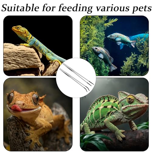 Booge 2 Pcs Stainless Steel Reptile Feeding Tongs with Rubber Tip, 11.8 Inch Straight and Curved Extra Long Tweezers for Lizards, Bearded Dragon, Snake