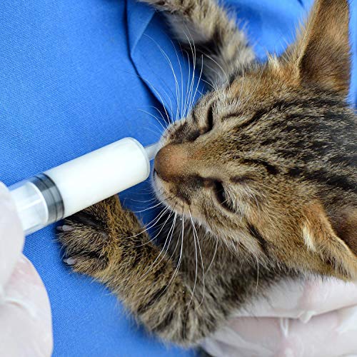 Frienda 4 Packs Syringes Without Needles,20 Ml and 60 Ml | Large Plastic Measuring Tools for Food, Horse Care, Lab Dispensing, Graduated Markings, Reusable Multipurpose Applicators - size: 20 ml and 60 ml