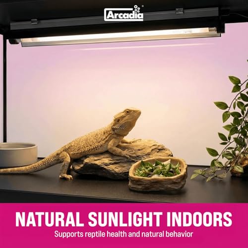 Arcadia T5 UVB Reptile Light Fixture Kit 36" Long 39 Watts 14% UVB Dragon – Complete UVB Light for Reptiles, Turtles, Snake, Bearded Dragon Lamp, Long Lasting Easy to Use Professional Lighting