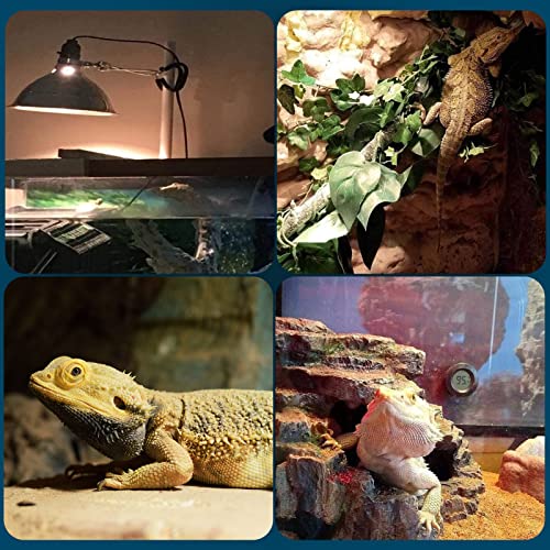 2 Pack 75W Reptile UVA Infrared Basking Spot Lamp, Sun Glow Daylight Heat Bulb, Soft White Glass Light for Reptile & Amphibian, Bearded Dragon, Lizard, Tortoise, Hedgehogs